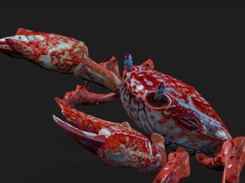 Crab-C1 3D Модель