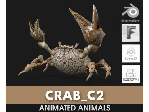 Granchio-C2 Modello 3D