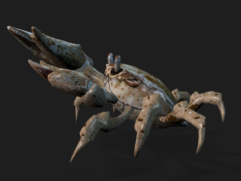 Crab-C2 Model 3D