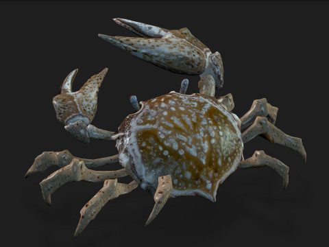 Crab-C2 Model 3D