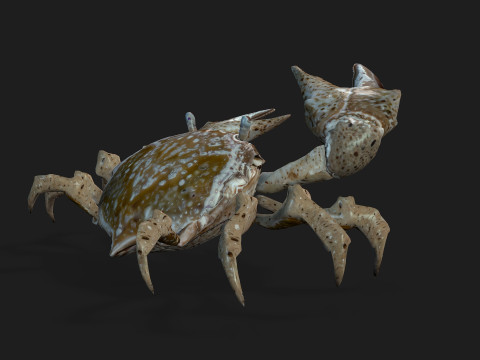 Crab-C2 Model 3D