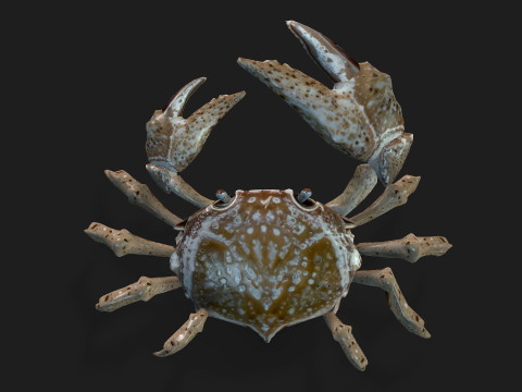 Crab-C2 Model 3D