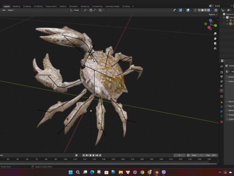 Crab-C2 Model 3D