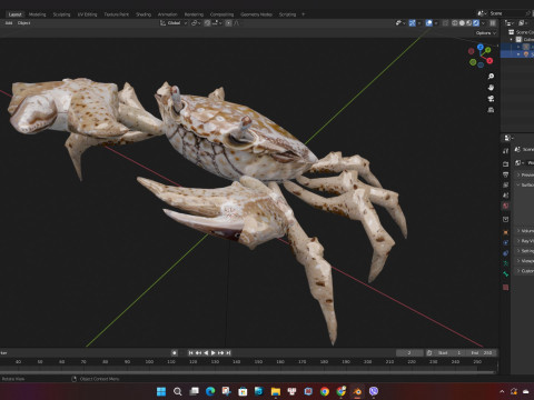 Crab-C2 Model 3D