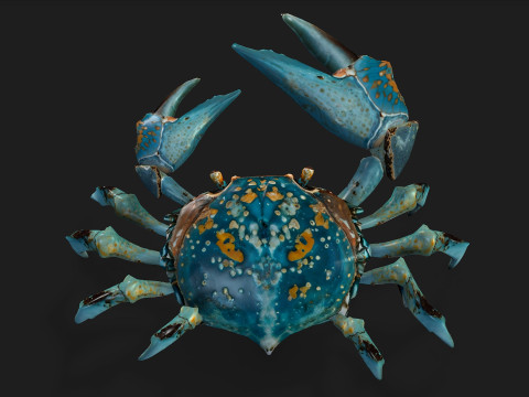 Crab-C3 3D मॉडल