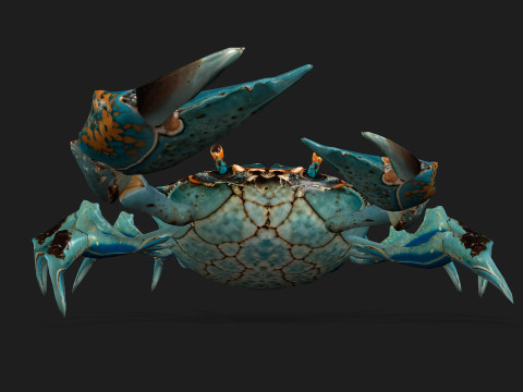 Crab-C3 3D मॉडल