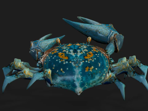 Crab-C3 3D Model