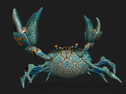 Crab-C3 3D मॉडल