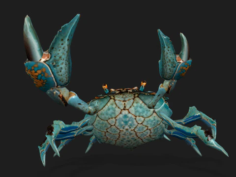 Crab-C3 3D Model