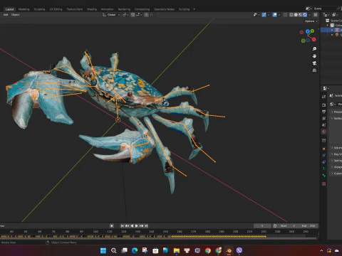 Crab-C3 3D Model