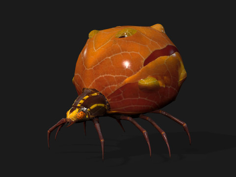 SpiderA2 3D Model