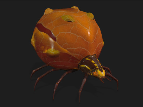 SpiderA2 3D Model
