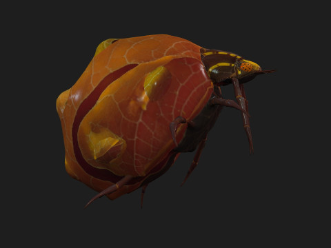 SpiderA2 3D Model