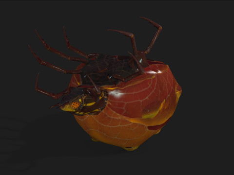 SpiderA2 3D Model