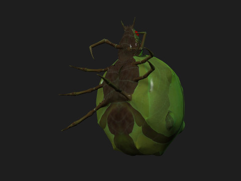 SpiderA3 3D 模型