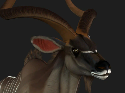 Kudu Model 3D