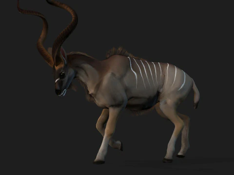Kudu Model 3D