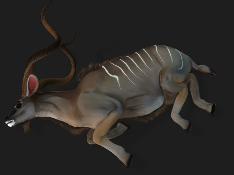 Kudu Model 3D