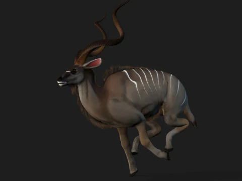 Kudu Model 3D