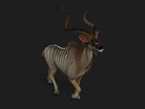 Kudu Model 3D