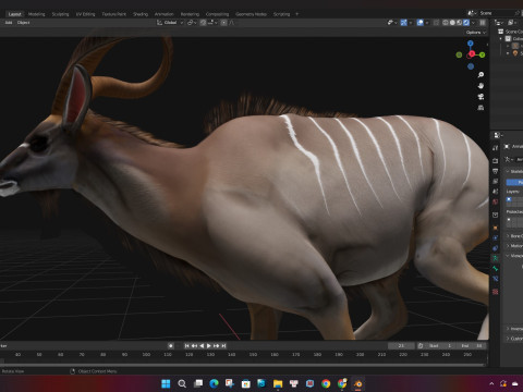 Kudu Model 3D