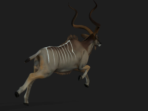 Kudu Model 3D
