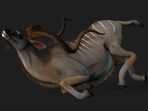 Kudu Model 3D