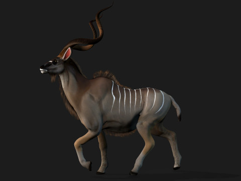 Kudu Model 3D