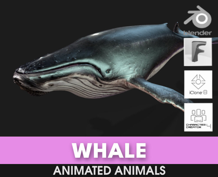Whale 3Dモデル .c4d .max .obj .3ds .fbx .stl .blend
