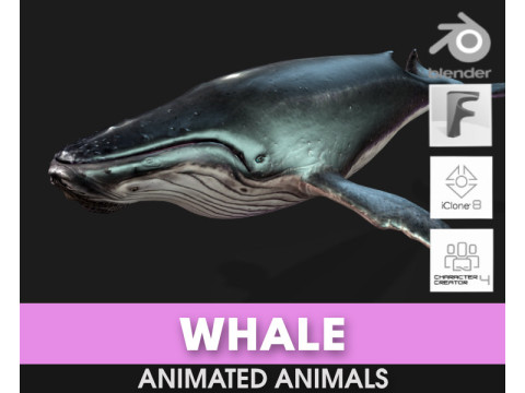Whale 3D Модель