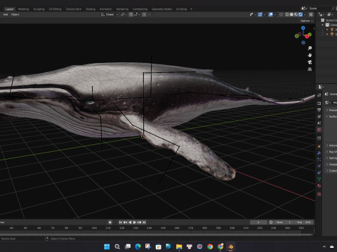 Whale 3Dモデル