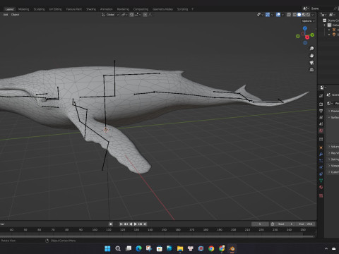 Whale 3Dモデル