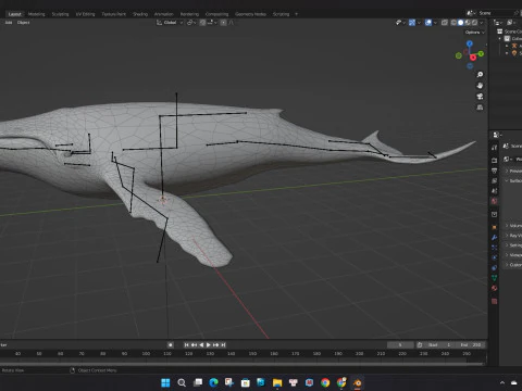 Baleine Modèle 3D