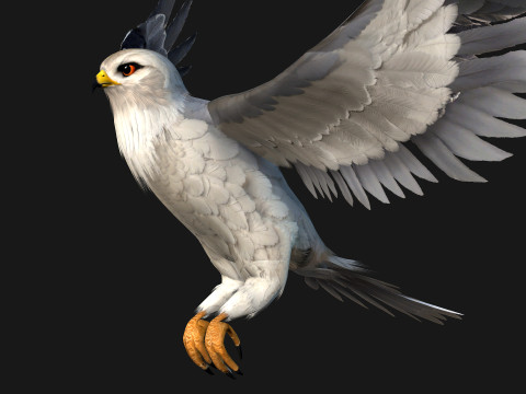 Falcon-A1 3D Модель
