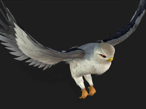 Falcon-A1 3D Модель