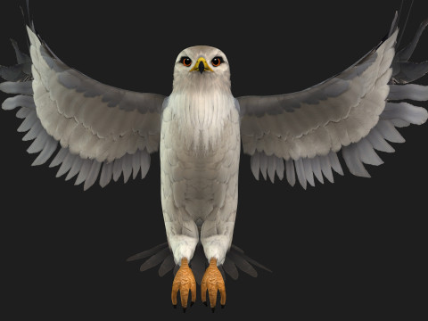 Falcon-A1 3D Модель