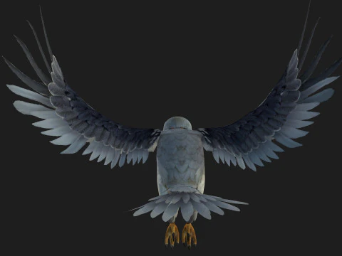 Falc&atilde;o-A1 Modelo 3D