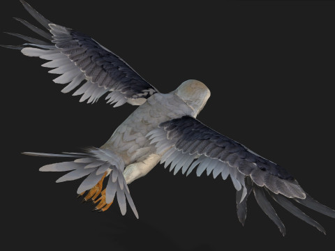 Falcon-A1 3D Модель