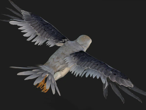 Falc&atilde;o-A1 Modelo 3D