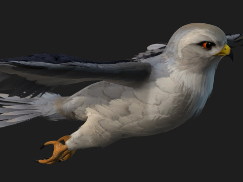 Falcon-A1 3D Модель