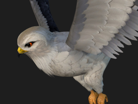 Falcon-A1 3D Модель