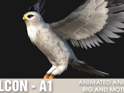 Falcon-A1 3D Модель