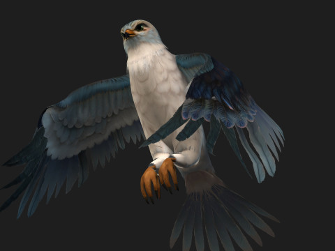 Falcon-A2 3D Модель