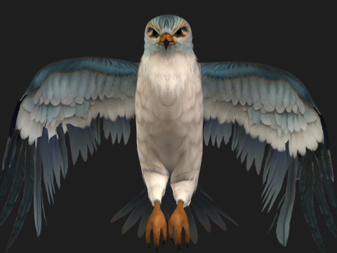 Falcon-A2 3D Модель