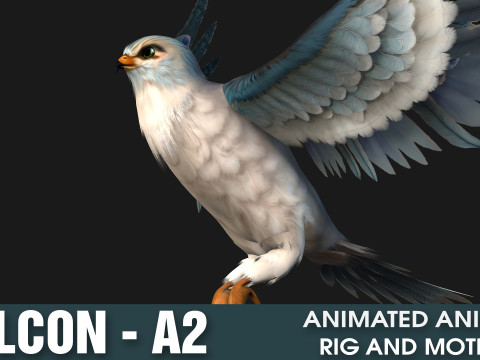 Falcon-A2 3D Модель