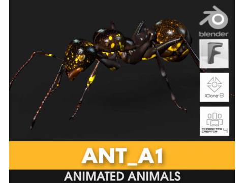 Formica-A1 Modello 3D
