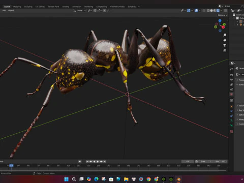 Formica-A1 Modello 3D