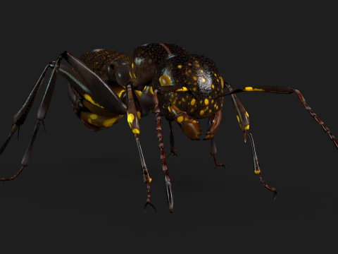 Formica-A1 Modello 3D