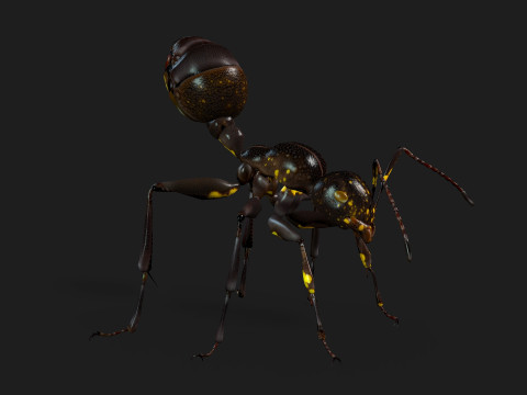 Ant-A1 3D 模型