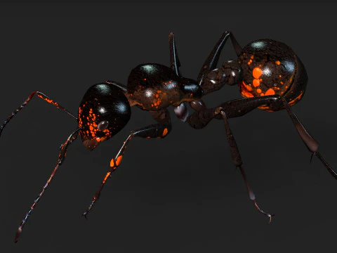 Ant-A2 3D Model